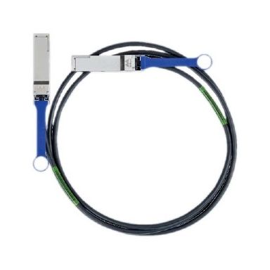 Intel 100CQQH2620 networking cable Black 2 m