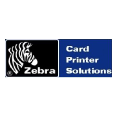 Zebra 4