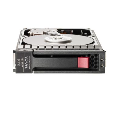 Hewlett Packard Enterprise 750GB hot-plug SATA HDD 3.5