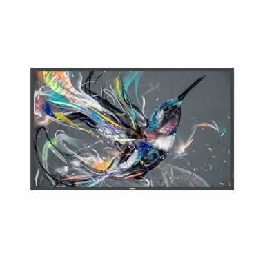 Philips 50BDL3650QE/00 Signage Display Digital signage flat panel 125.7 cm (49.5