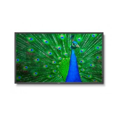 NEC MultiSync C651Q 165.1 cm (65