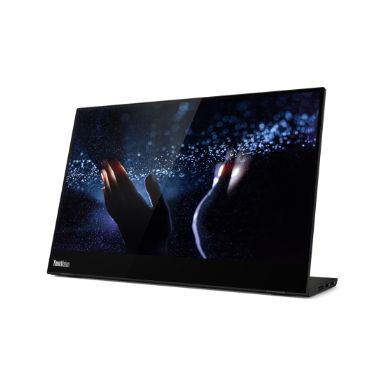 Lenovo ThinkVision M14t 35.6 cm (14