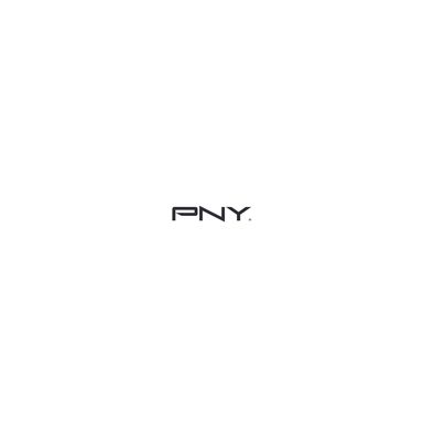 PNY Nvidia ENT Warranty SN2010 1YR