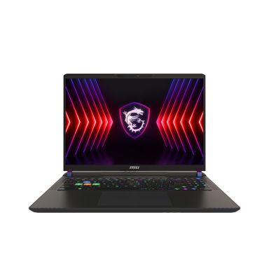 MSI Vector 16 HX Intel® Core™ i9 i9-14900HX Laptop 40.6 cm (16