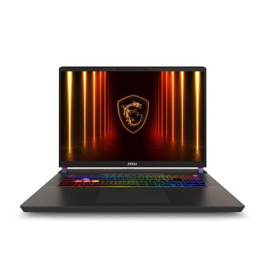 MSI Vector 17 HX AI A2XW-003UK Intel Core Ultra 9 275HX Laptop 43.2 cm (17