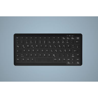 Active Key AK-C4110 keyboard USB US English Black