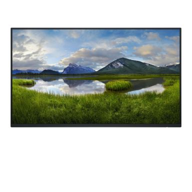 DELL P Series P2425HE_WOST computer monitor 61 cm (24