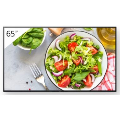 Sony Bravia Professional Displays FW-65BZ35L - 164 cm (65