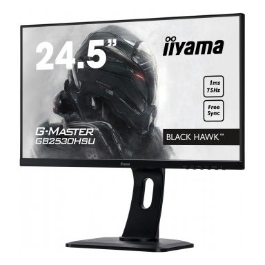 iiyama G-MASTER GB2530HSU-B1 computer monitor 62.2 cm (24.5