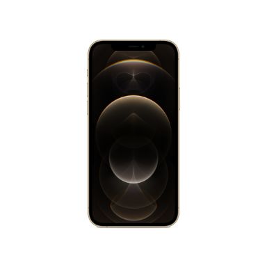 Apple iPhone 12 Pro 15.5 cm (6.1