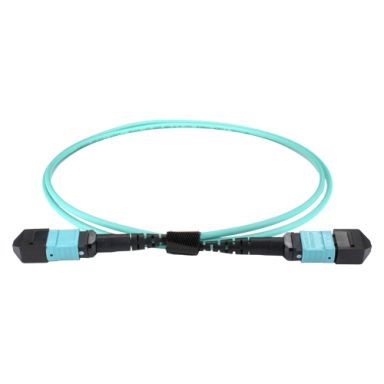 Cablenet CNL 30M OM4 B12 MPO 12F Aq TRUNK M-B InfiniBand/fibre optic cable