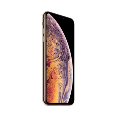 Apple iPhone XS Max 16.5 cm (6.5