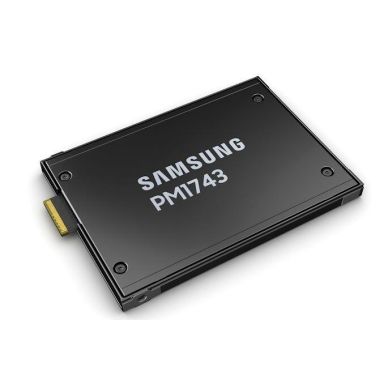 Samsung PM1743 2.5
