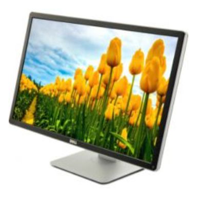 Dell P2414H 24