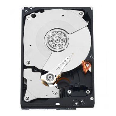 Western Digital 250GB RE4 3.5