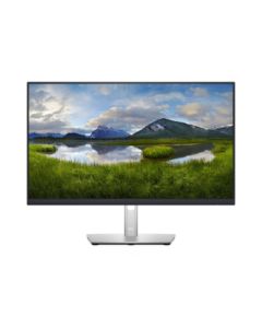 DELL 24 Monitor - P2422H